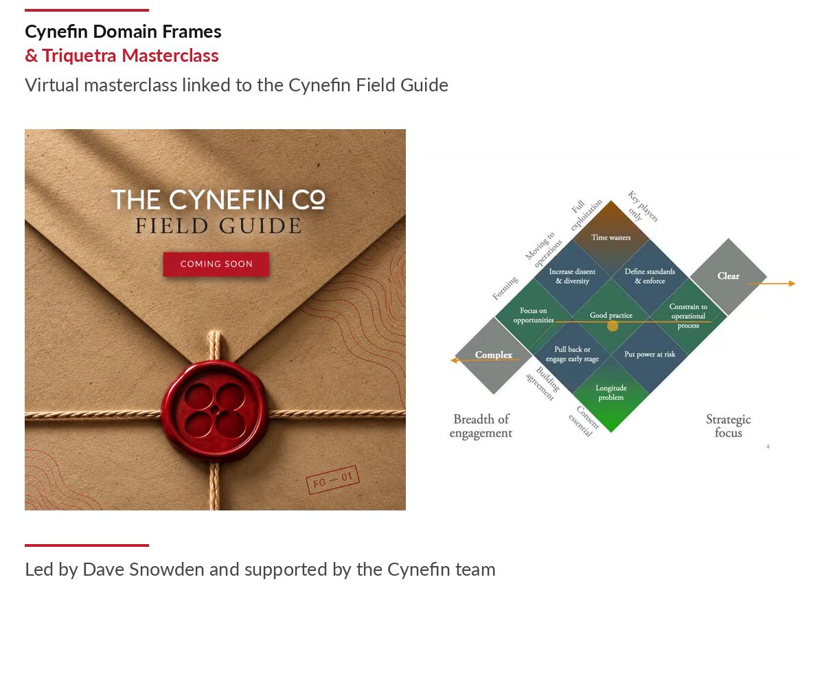 The Cynefin Company ad