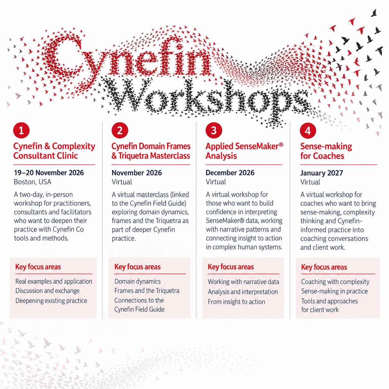The Cynefin Company ad