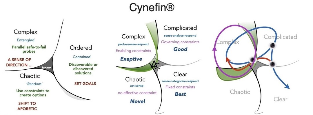The Cynefin Company ad