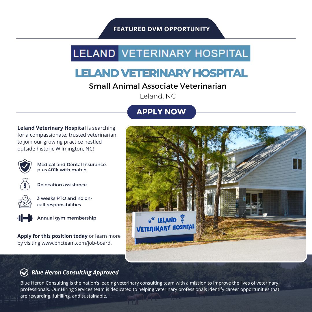 Blue Heron Consulting ad