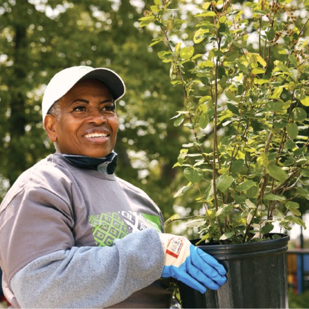 Arbor Day Foundation ad