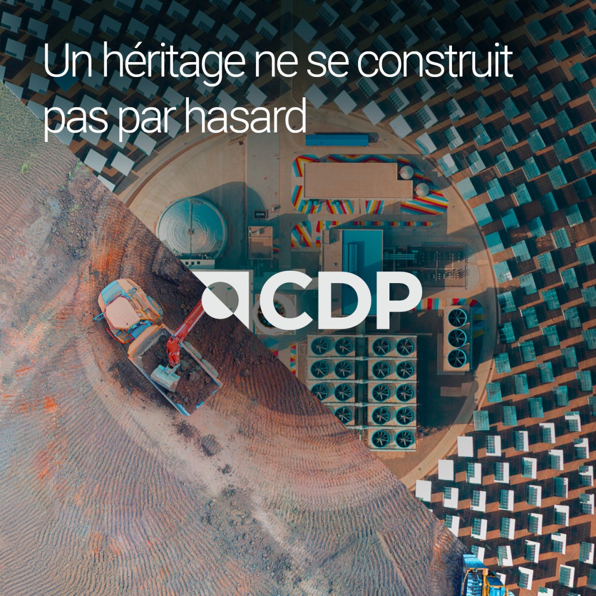 CDP ad