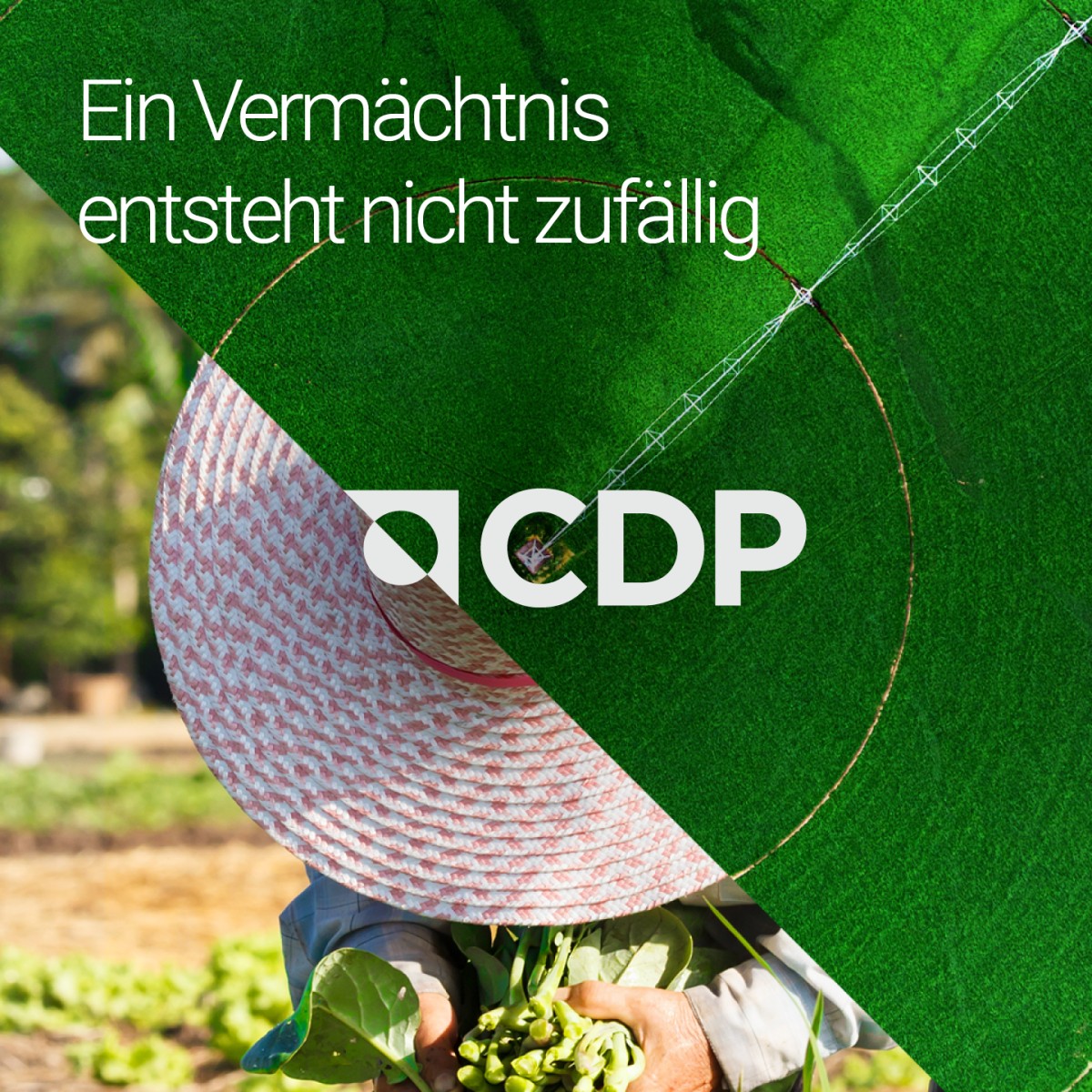 CDP ad