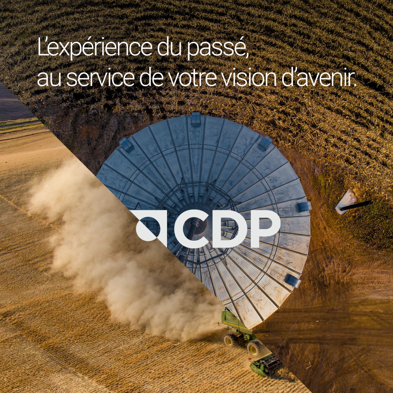 CDP ad