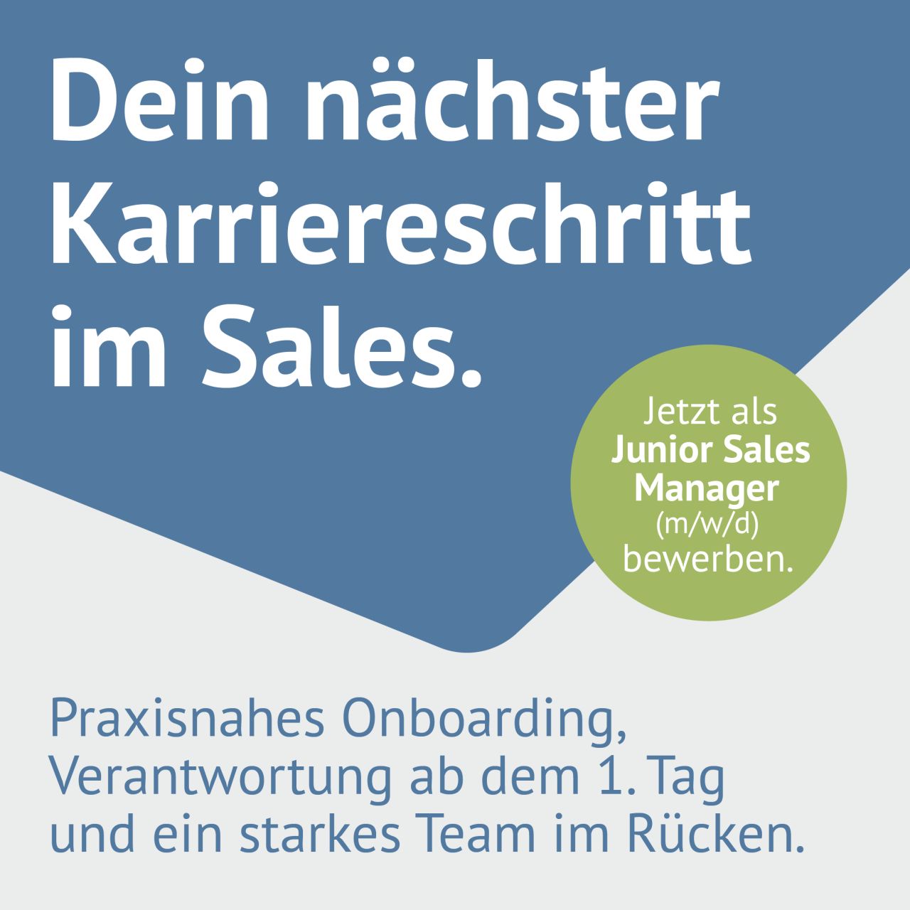 DPS - Das Prüfunternehmen ad