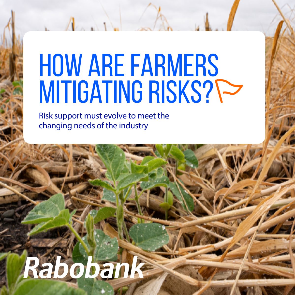 Rabobank North America ad