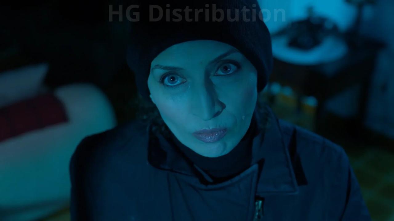 HG DISTRIBUTION ad