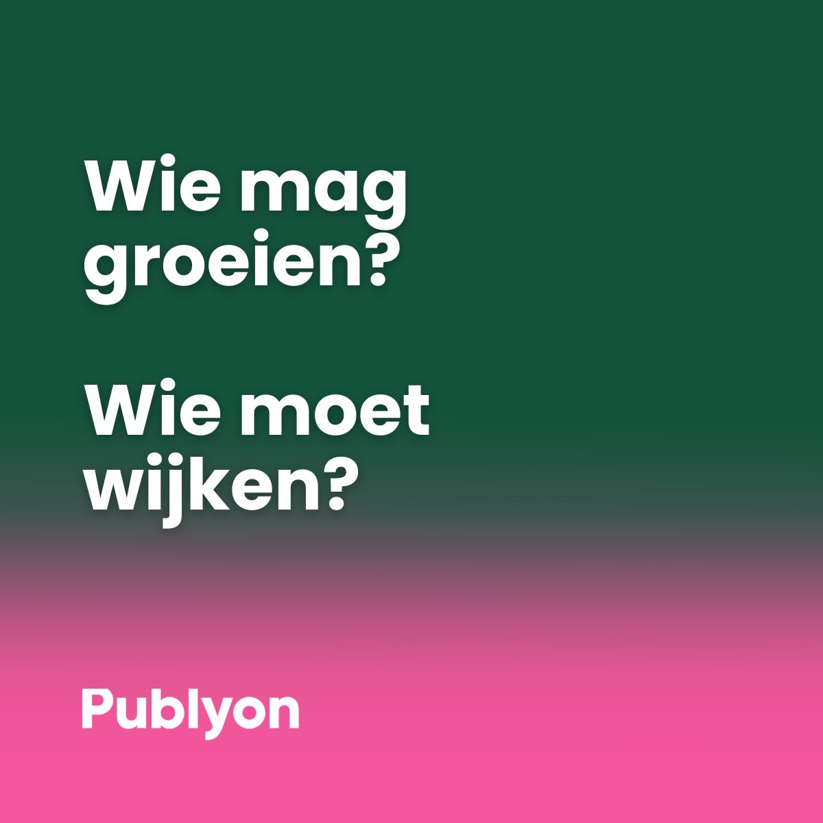 Publyon NL ad