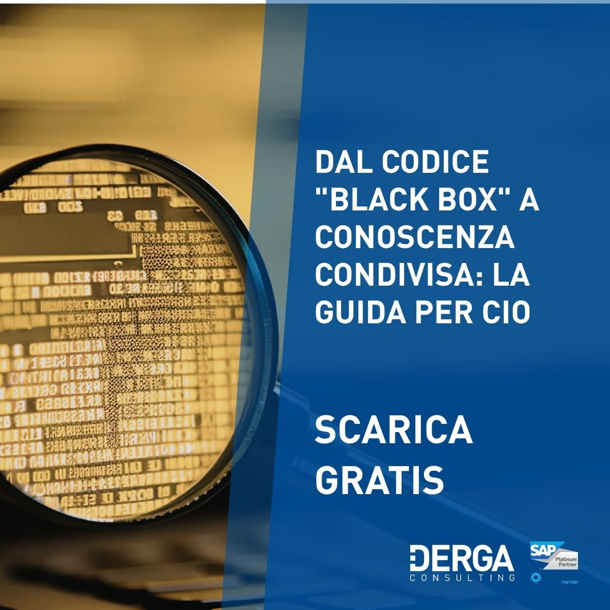 Derga Consulting ad