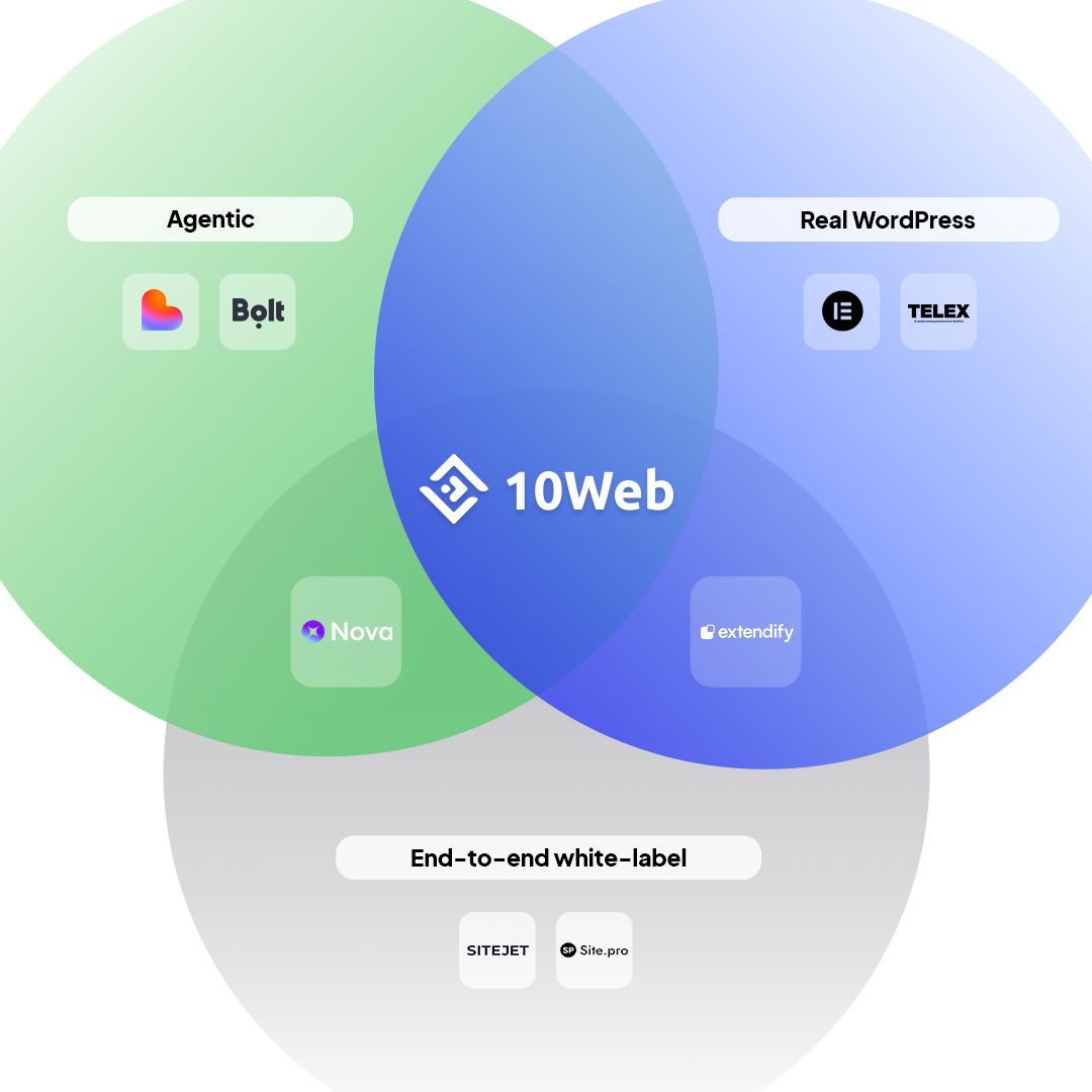 10Web.io ad