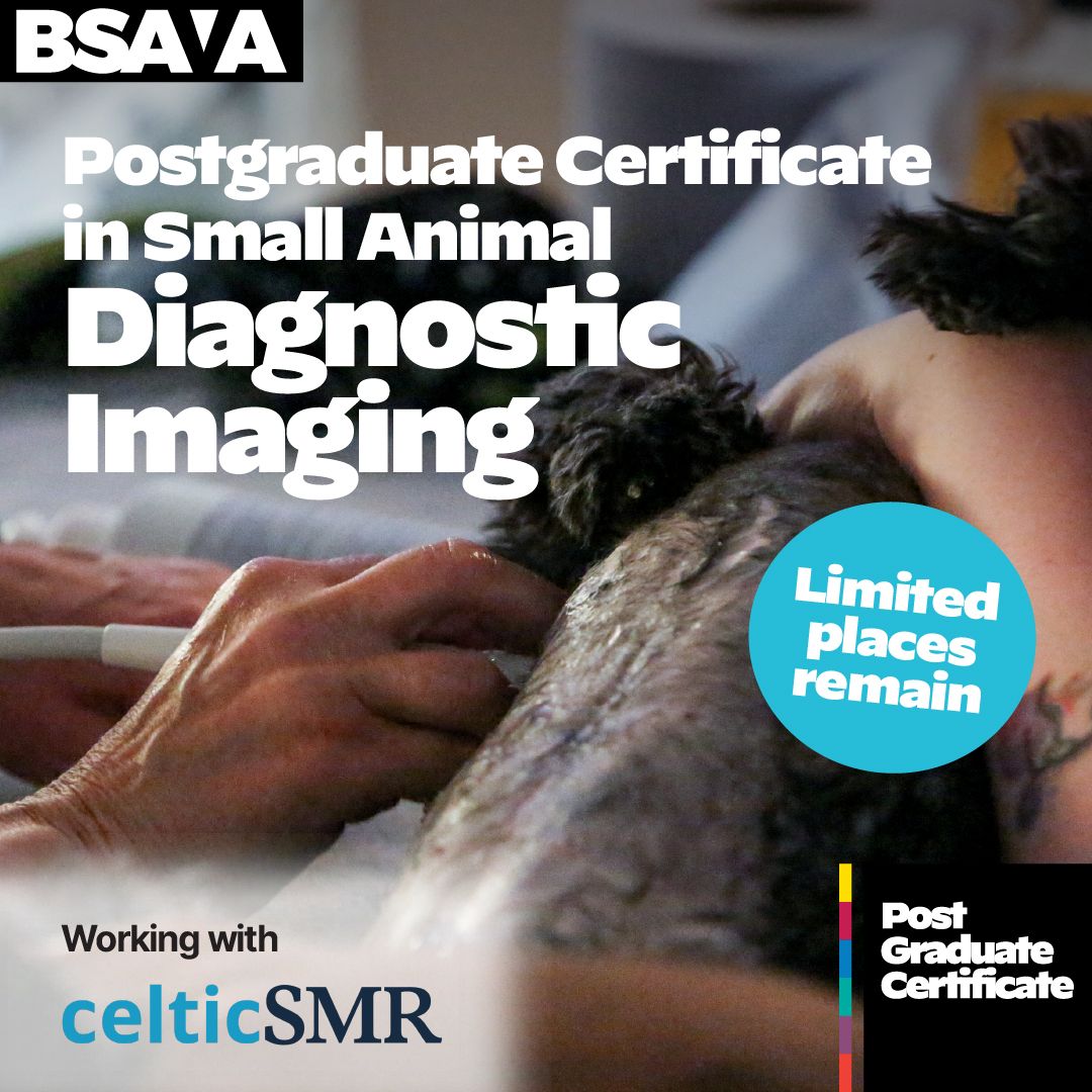BSAVA (British Small Animal Veterinary Association) ad