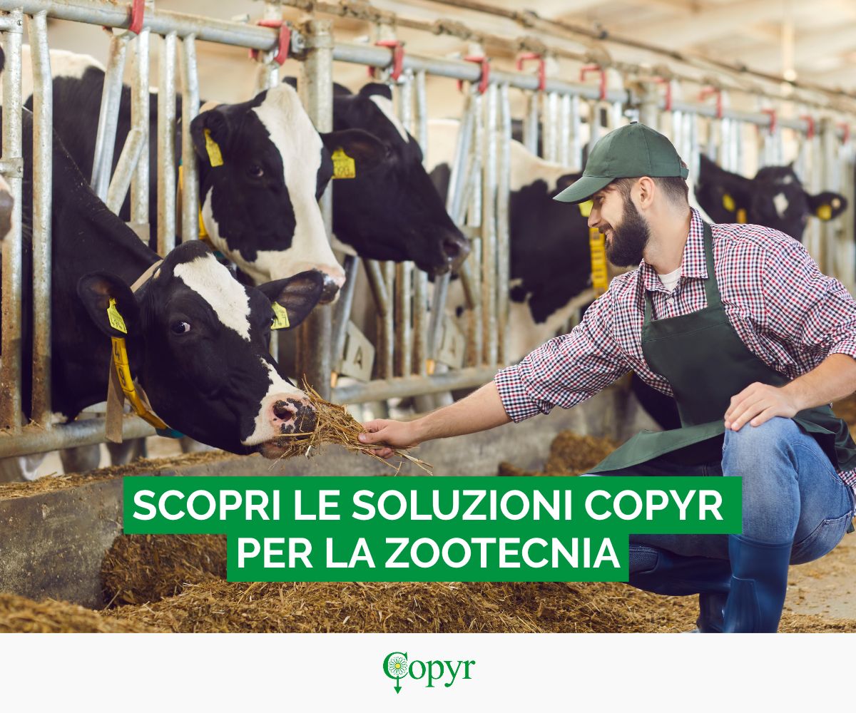 Copyr S.p.A ad
