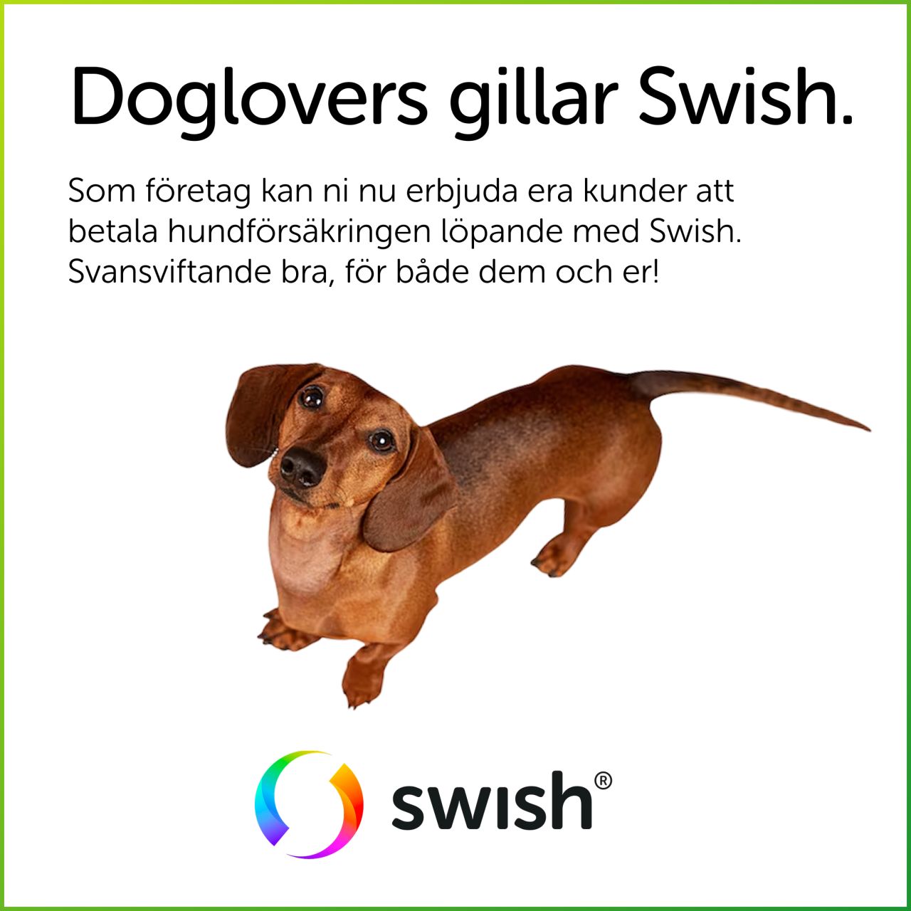 Swish ad