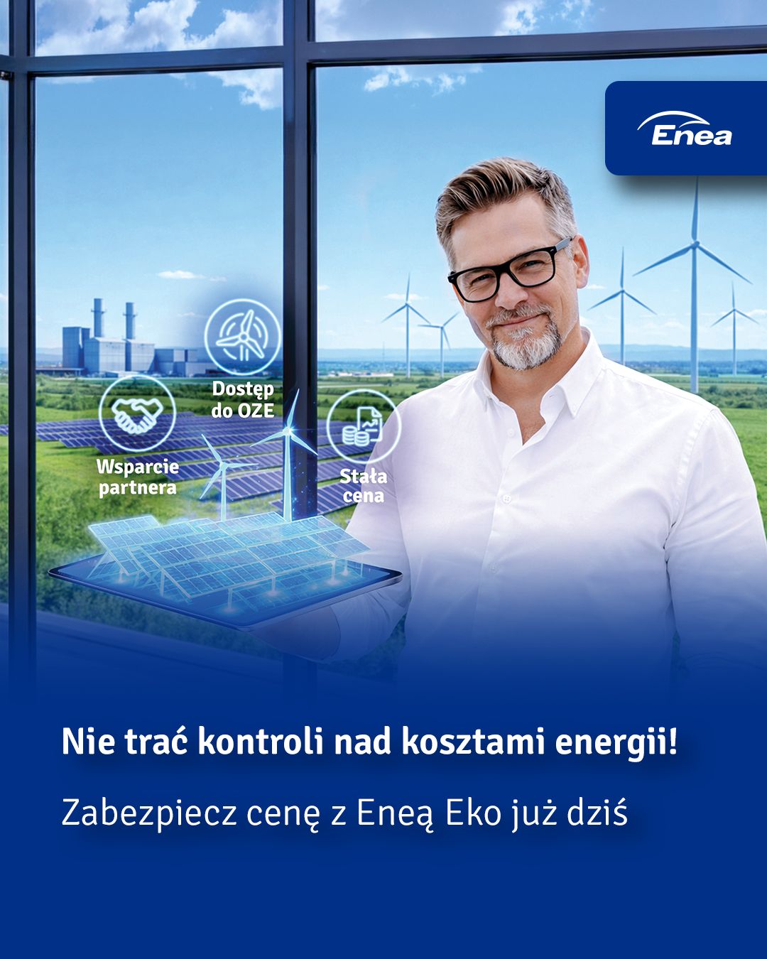 Grupa Enea ad
