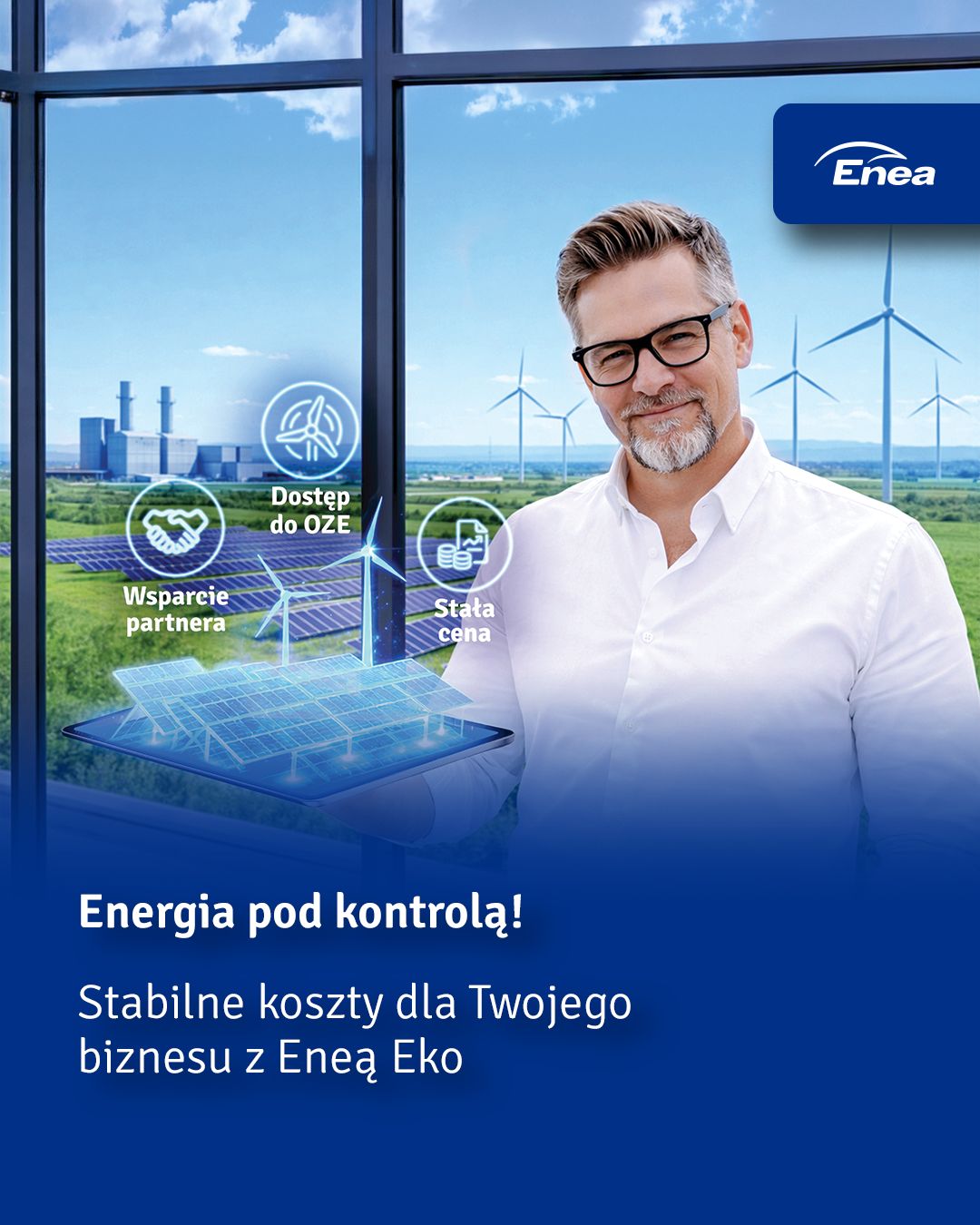 Grupa Enea ad