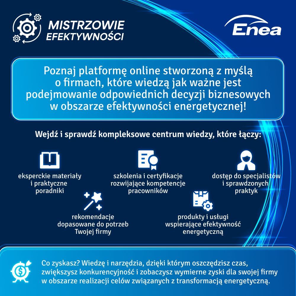 Grupa Enea ad