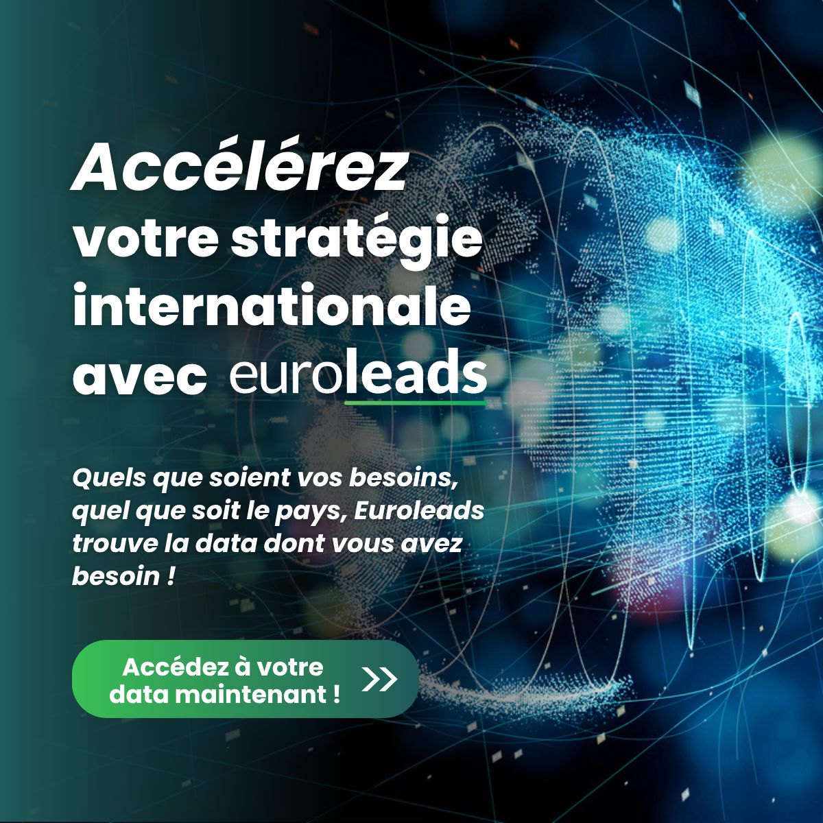 Euroleads MV Group ad