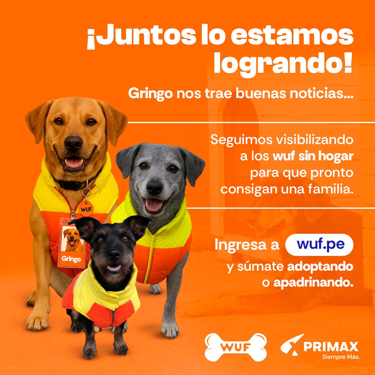 Primax ad