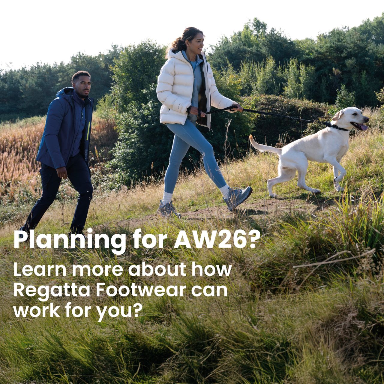 Regatta Ltd ad