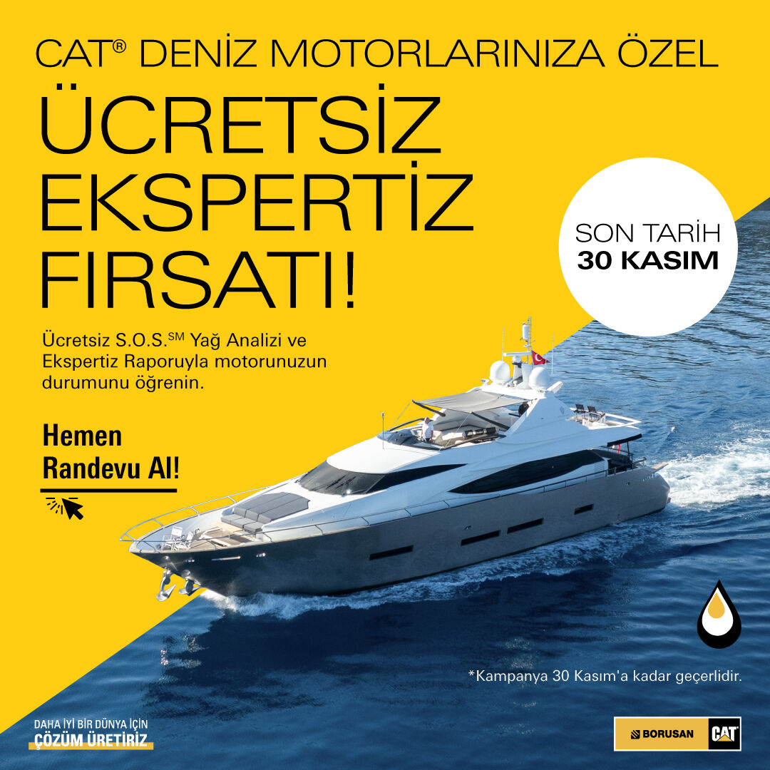 Borusan Makina ve Güç Sistemleri / Caterpillar ad