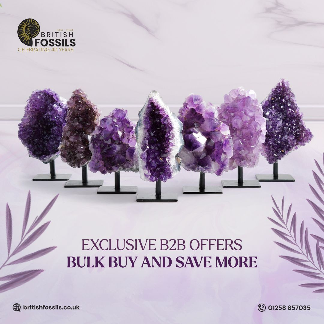 British Fossils ad
