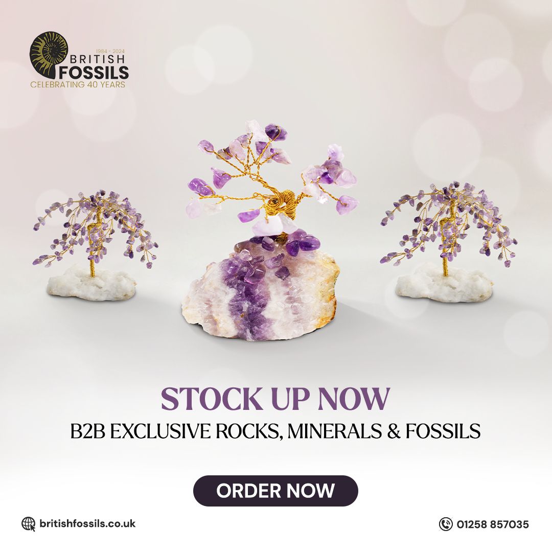 British Fossils ad