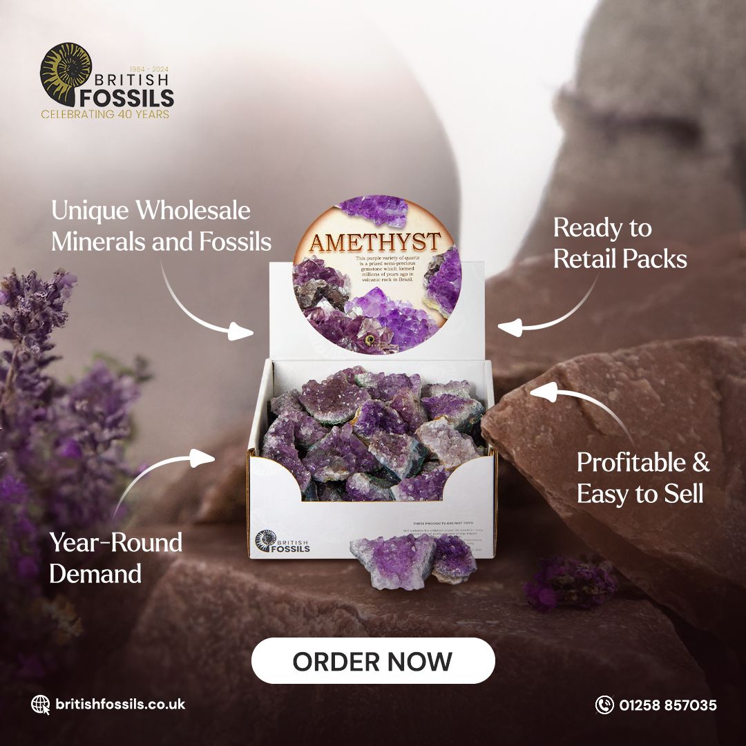 British Fossils ad