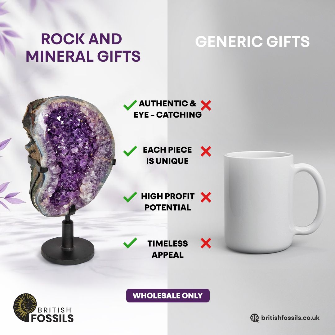 British Fossils ad