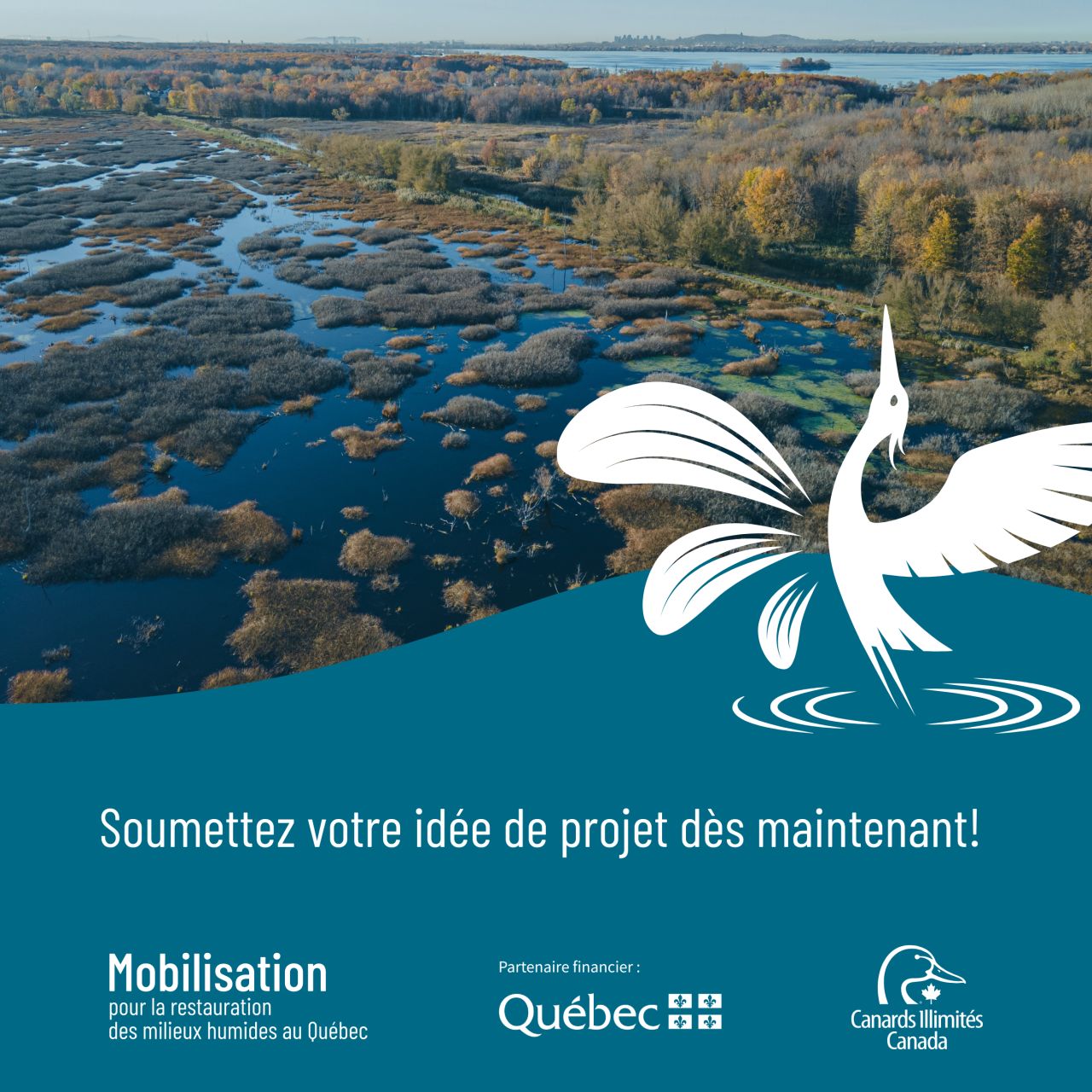 Canards Illimités - Québec ad