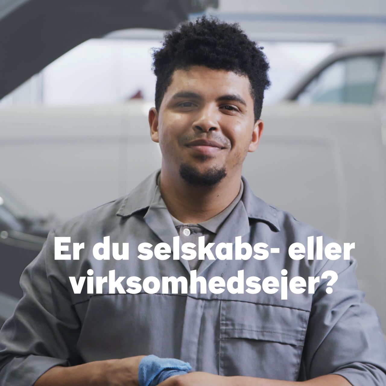 Skattestyrelsen ad