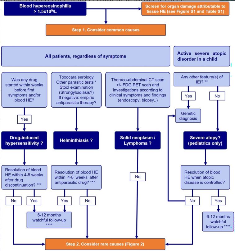 Allergy  EAACI ad