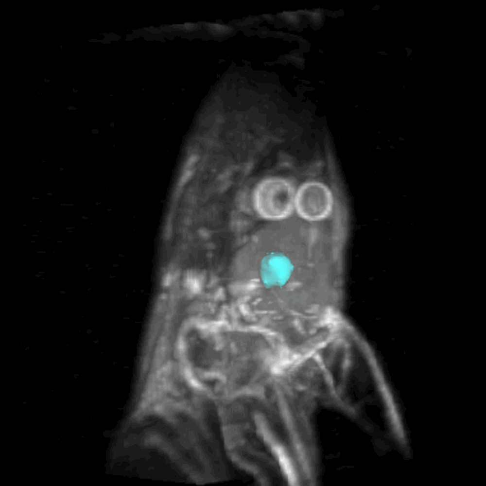 Certis Oncology Solutions, Inc. ad