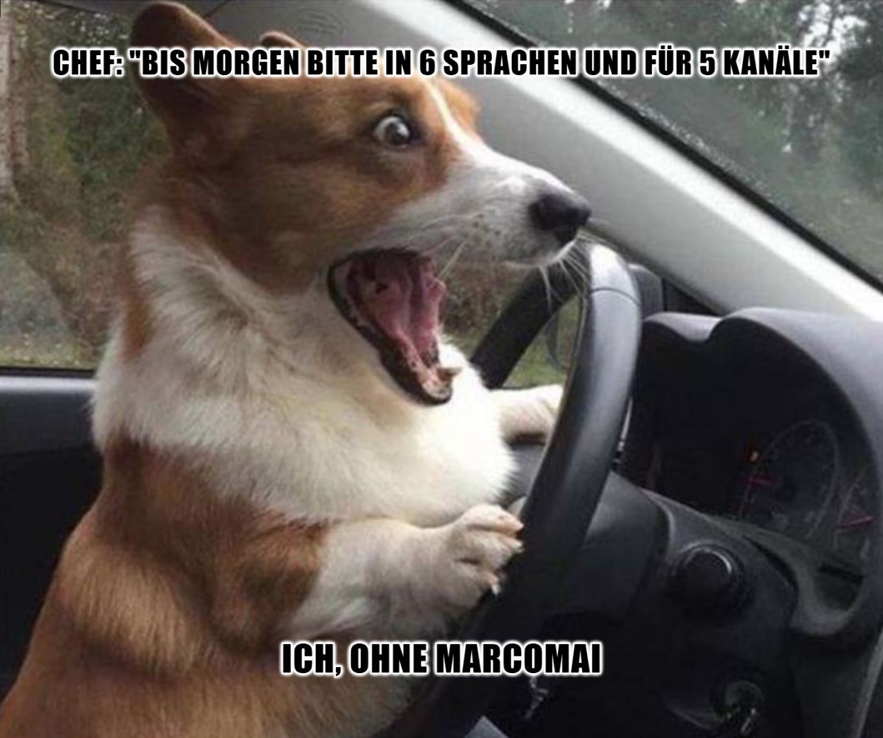 InterRed GmbH ad