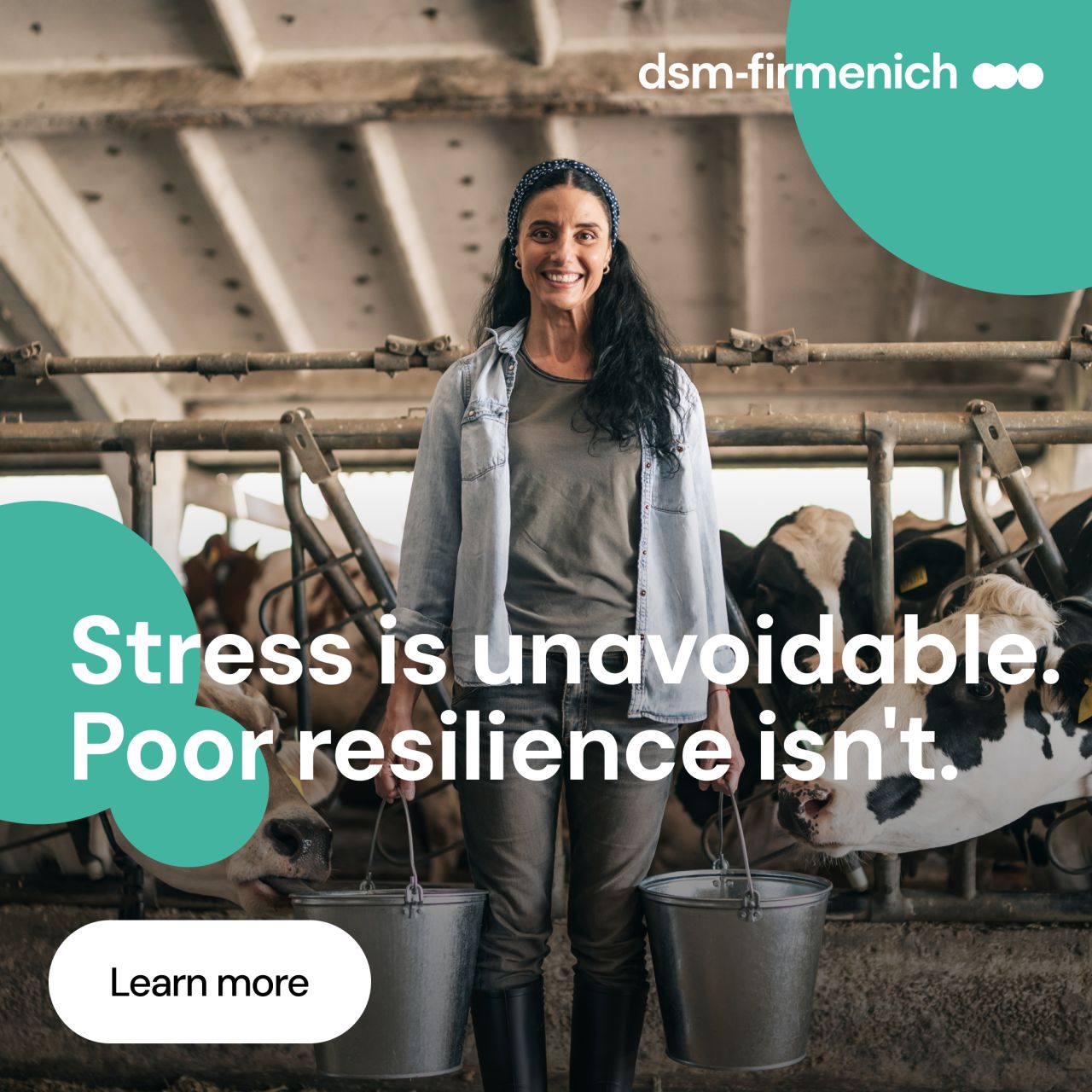 dsm-firmenich Animal Nutrition & Health ad