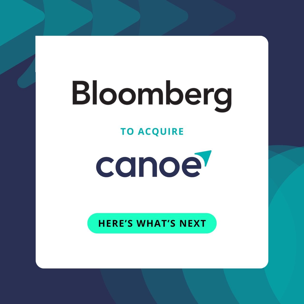 Canoe Intelligence ad