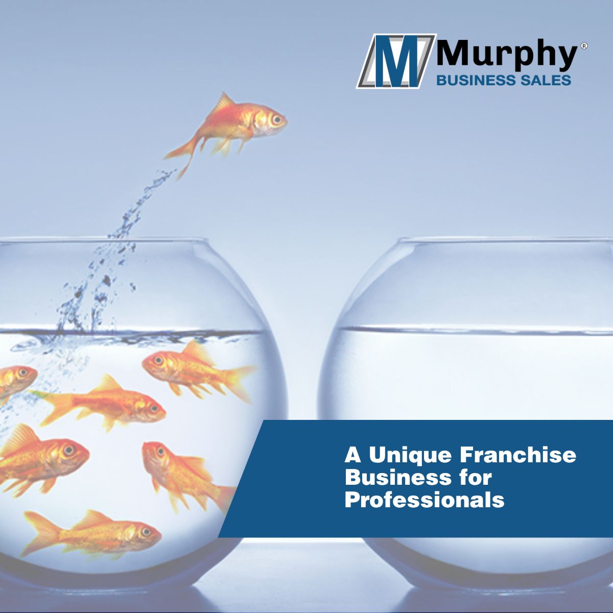 Murphy Business & Financial Corporation ad