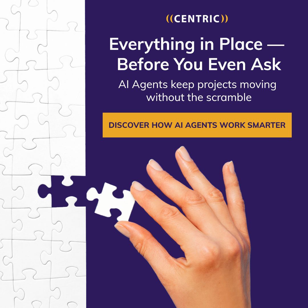 Centric Consulting ad