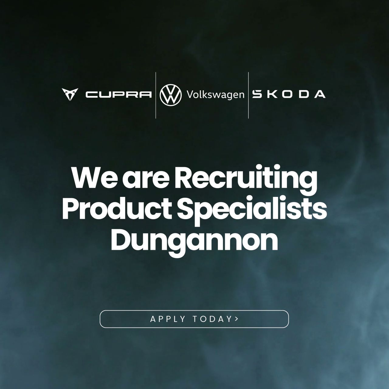 Donnelly Group ad