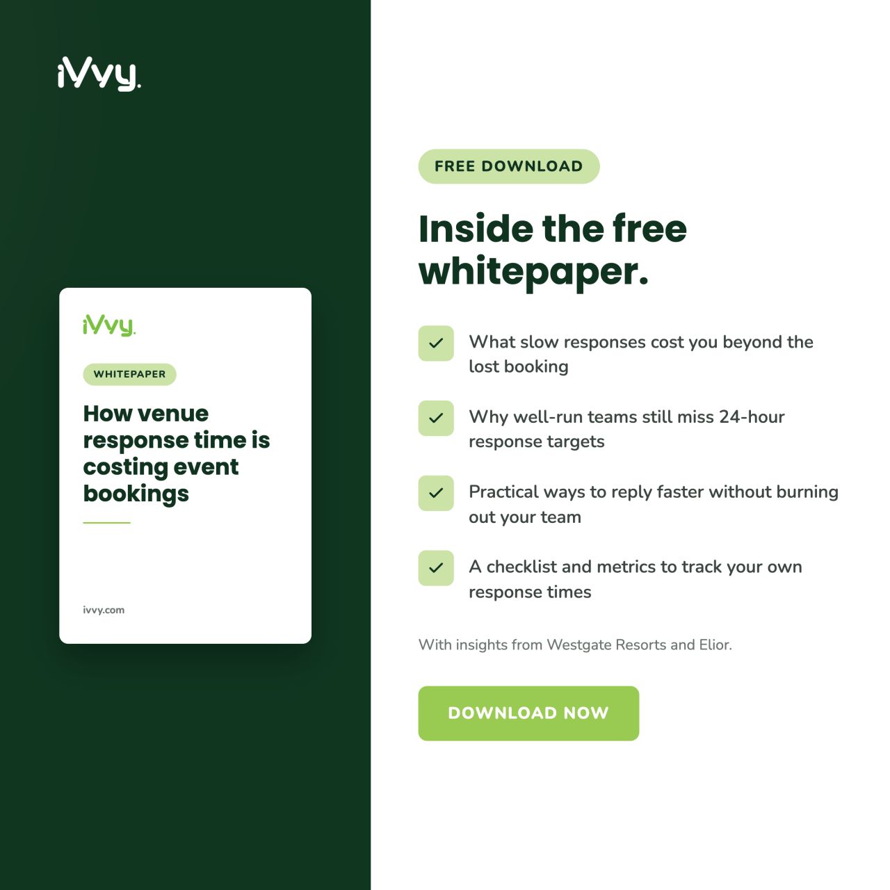iVvy ad