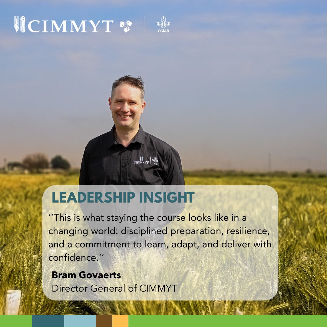 CIMMYT ad