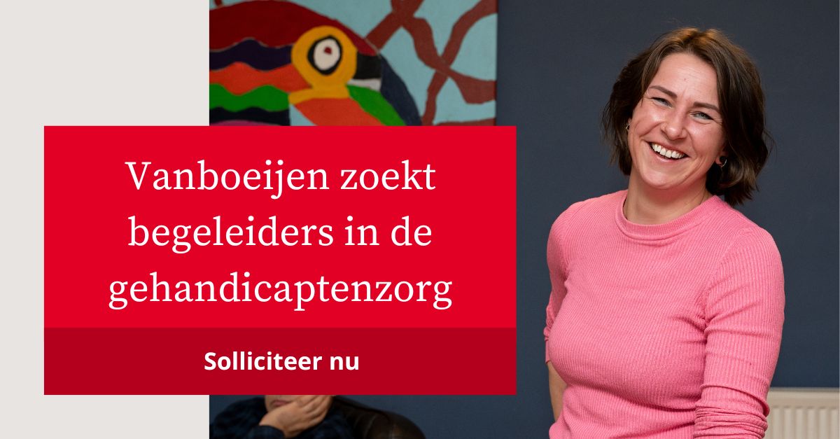 Vanboeijen ad