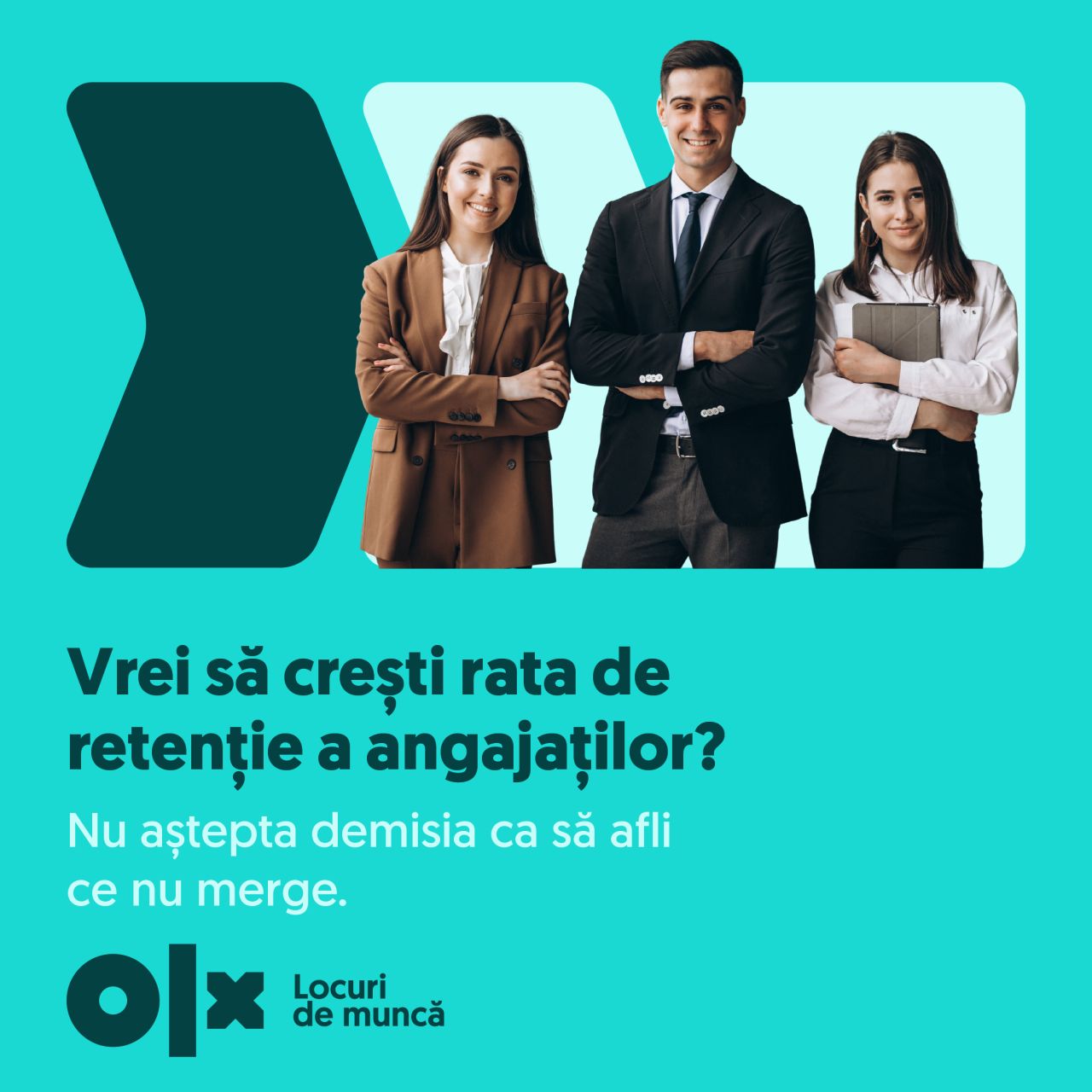 OLX Locuri de Muncă ad