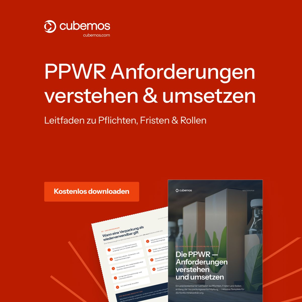cubemos ad