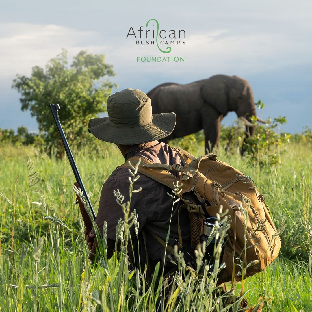 African Bush Camps ad