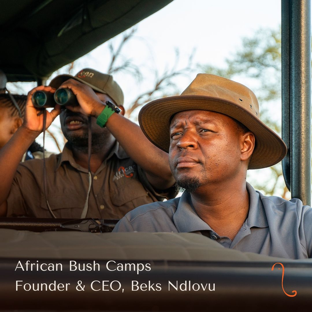 African Bush Camps ad