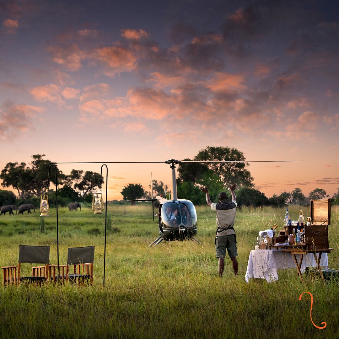 African Bush Camps ad