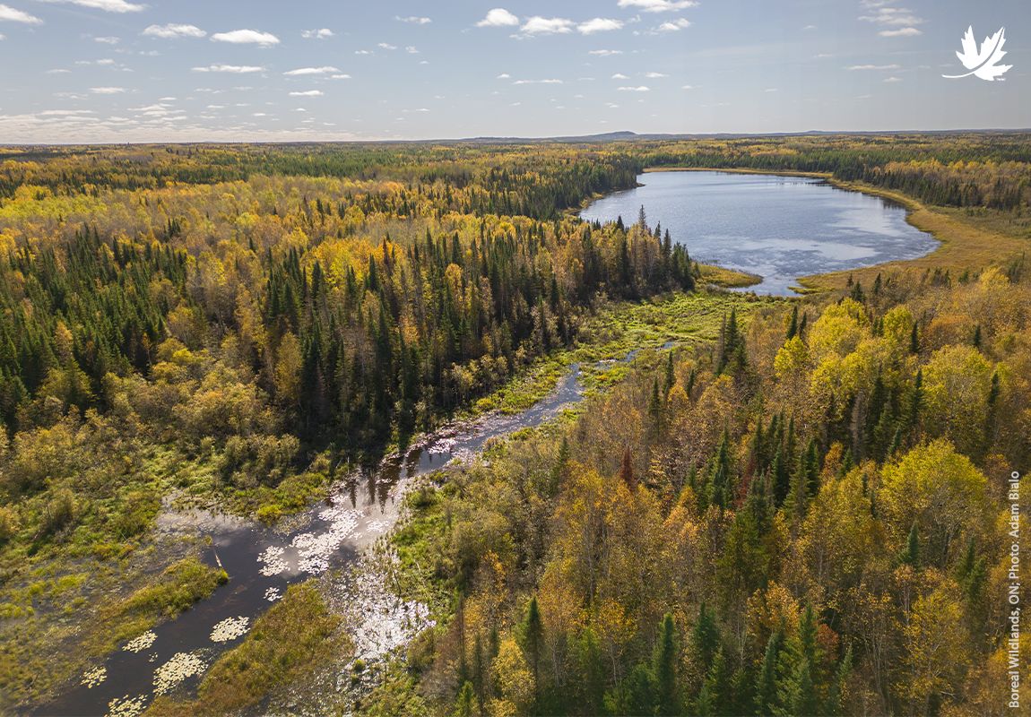 Nature Conservancy of Canada/Conservation de la nature Canada ad