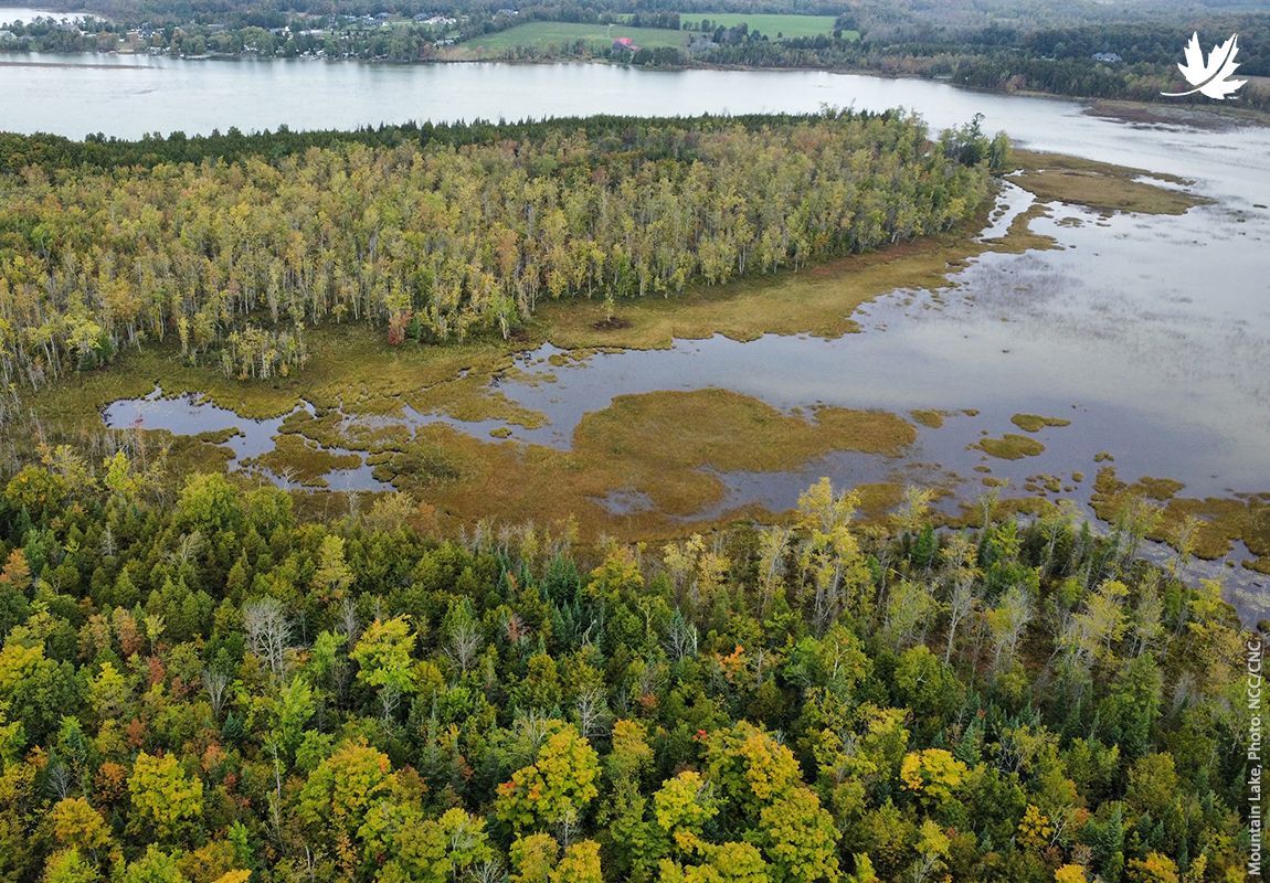 Nature Conservancy of Canada/Conservation de la nature Canada ad