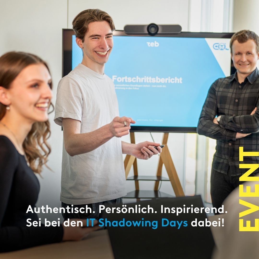 zeb consulting ad