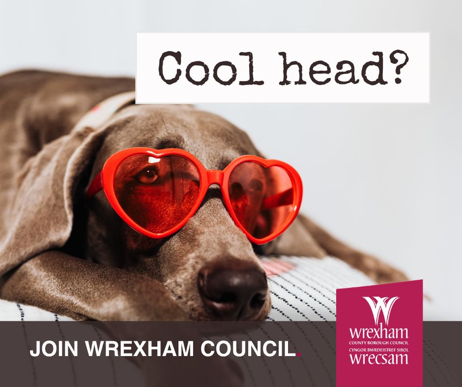 Wrexham County Borough Council ad